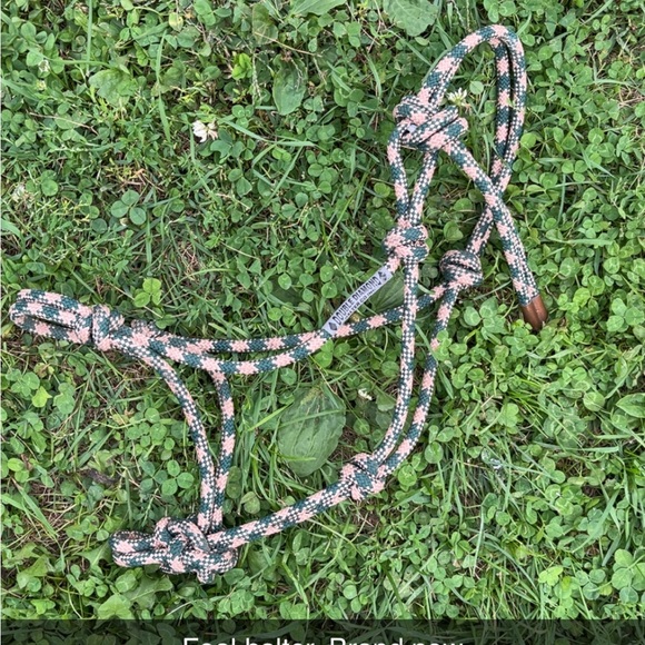 Foal halter - Picture 1 of 1